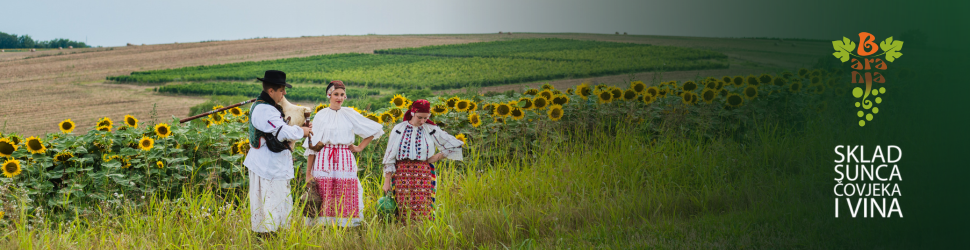 HTZ Novi ispod naslova